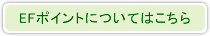 EF�|�C���g�ɂ��Ă͂�����