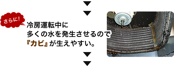 ����ɁI�@��[�^�]���ɑ����̐��𔭐�������̂Łw�J�r�x�������₷���B