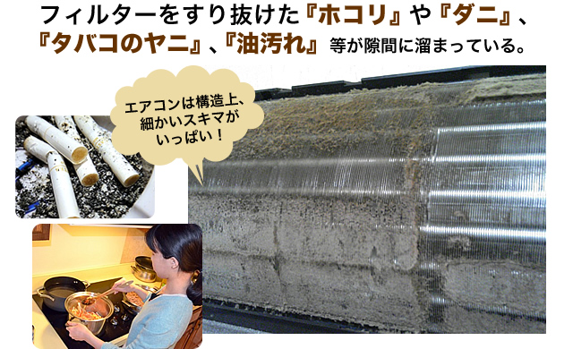 フィルターをすり抜けたホコリやダニ、油汚れ等が隙間に溜まっている