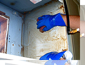  �����W�t�[�h�̃N���[�j���O