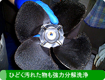 �Ђǂ����ꂽ�������͕�����